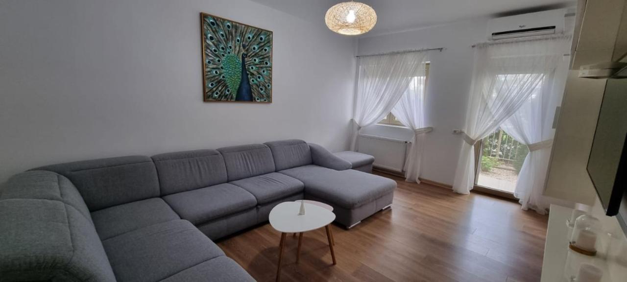 Sasu Apartment Timişoara Exterior foto